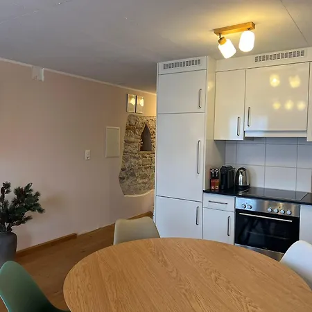 Apartment Casa Rheinblick Basel